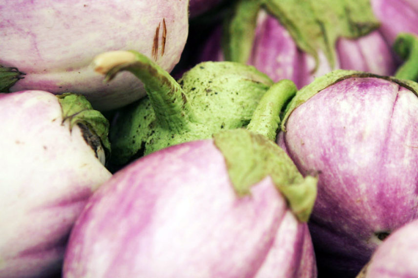 Aubergine ‘Rotonda Bianca Sfumata Di Rosa’