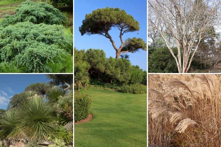 jardin 4 saisons, jardin beau toute l année, jardin par saisons