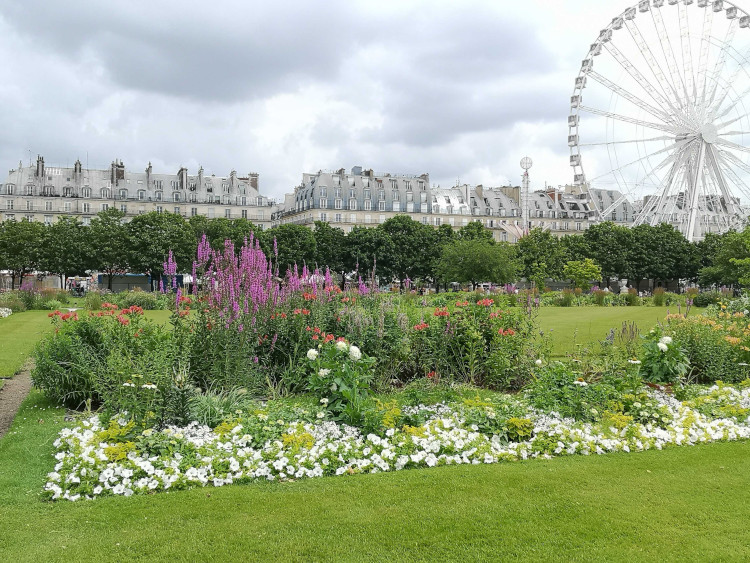 Jardin des Tuileries (c) Angélique Saget
