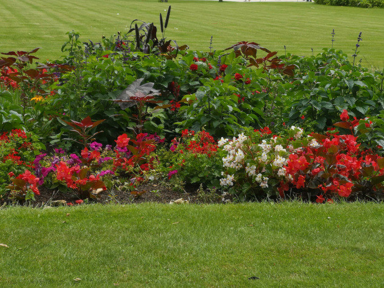 Les 10 commandements du jardinier au potager - Louvre-Lens