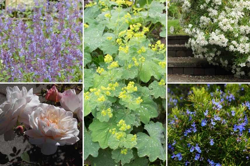 jardin 4 saisons, jardin beau toute l année, jardin par saisons