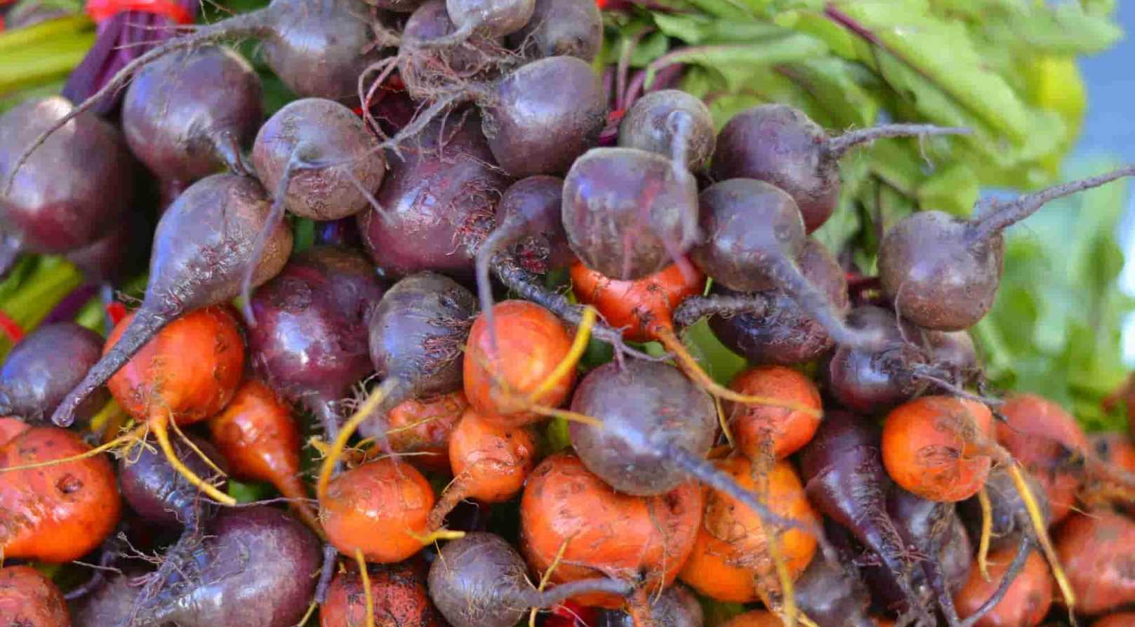 Découvrez notre sélection de sites où acheter des graines de légumes anciens,  légumes oubliés ou des…