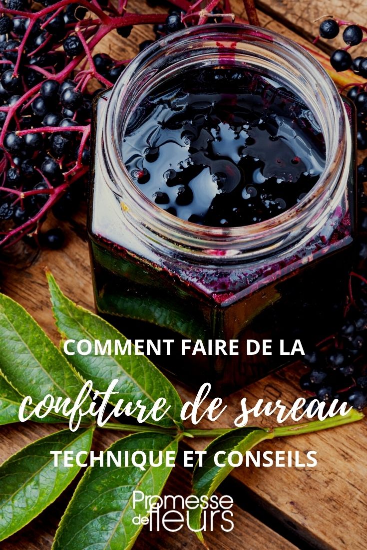 recette : confiture de sureau