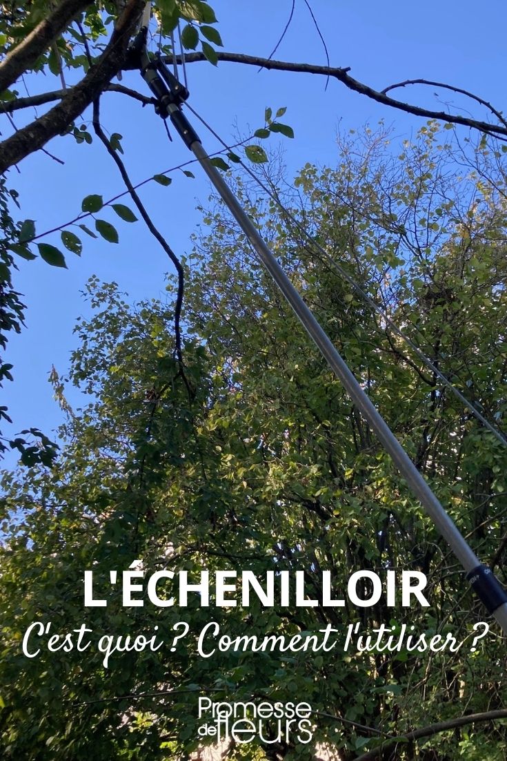 echenilloir