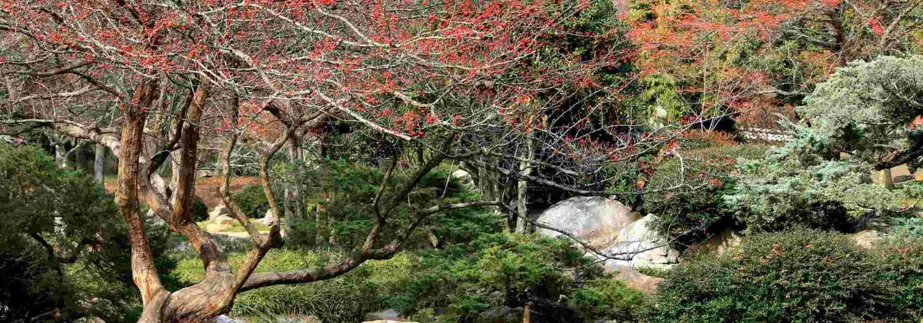 Aménager un jardin 4 saisons