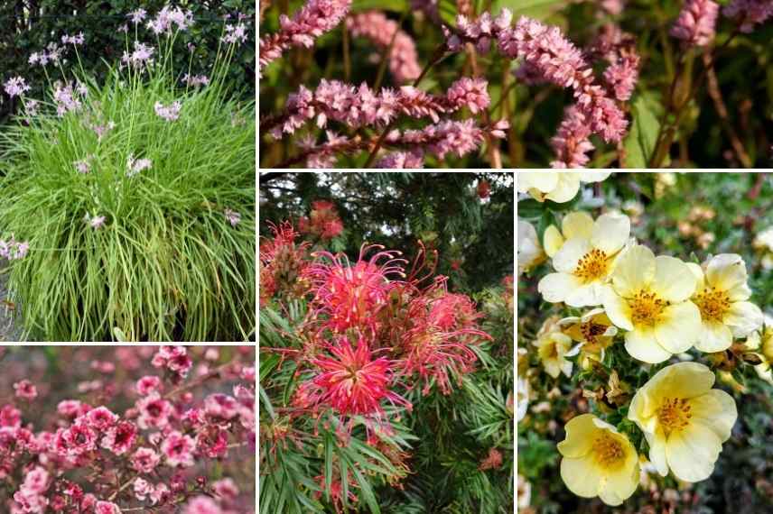 jardin 4 saisons, jardin beau toute l année, jardin par saisons