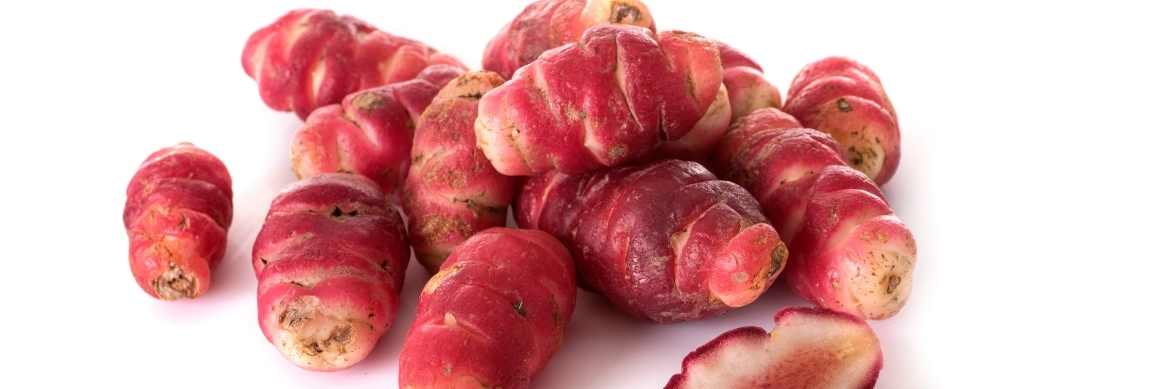 oca du pérou, oxalis tuberosa, légume ancien