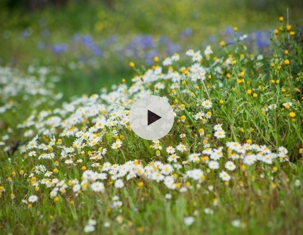 La permaculture selon Pascal De Lessines