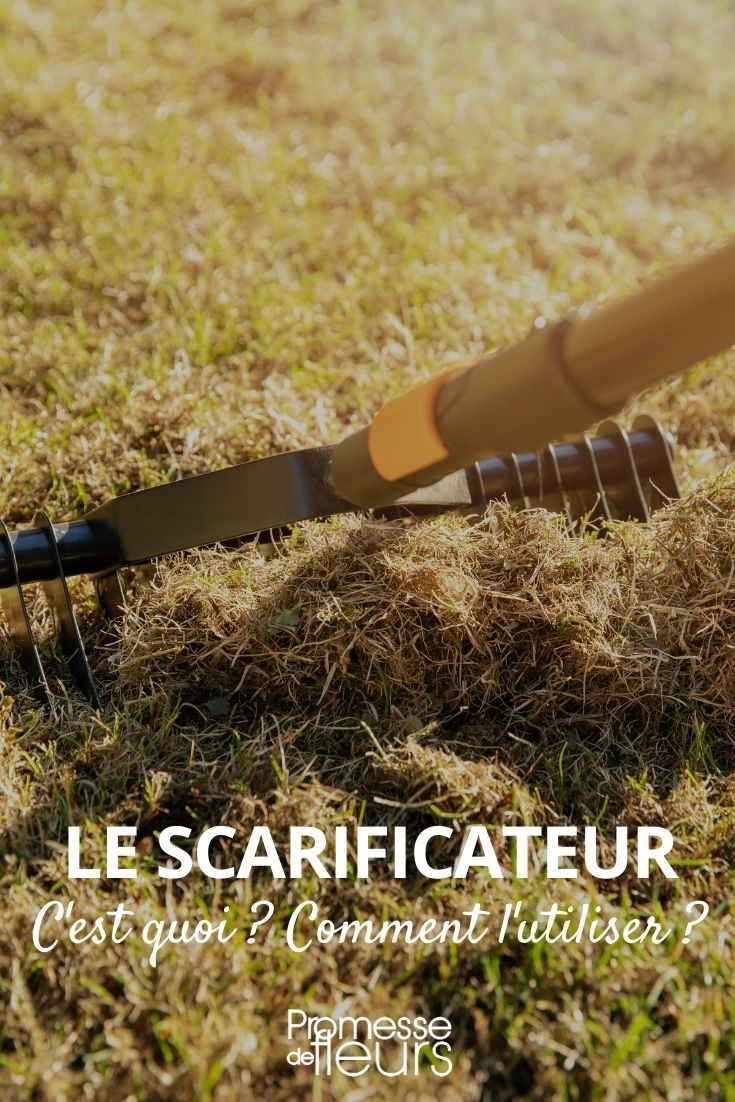 scarifier le gazon