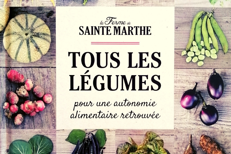 15 fruits et légumes insolites