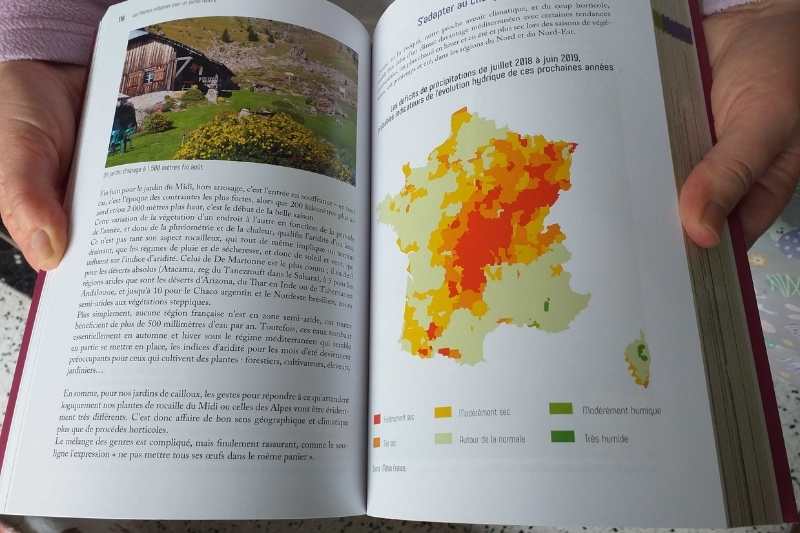 Jardinage dans le Midi : contraintes et avantages du climat