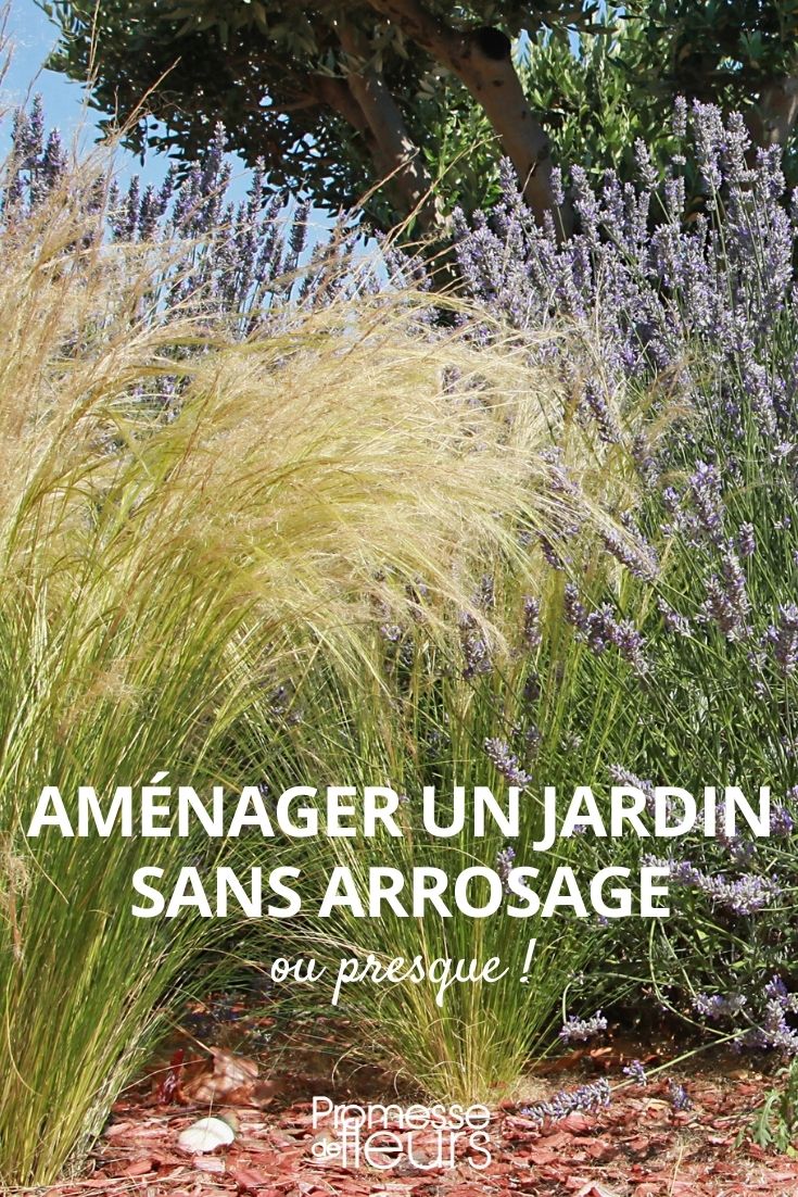 aménager un jardin sans arrosage