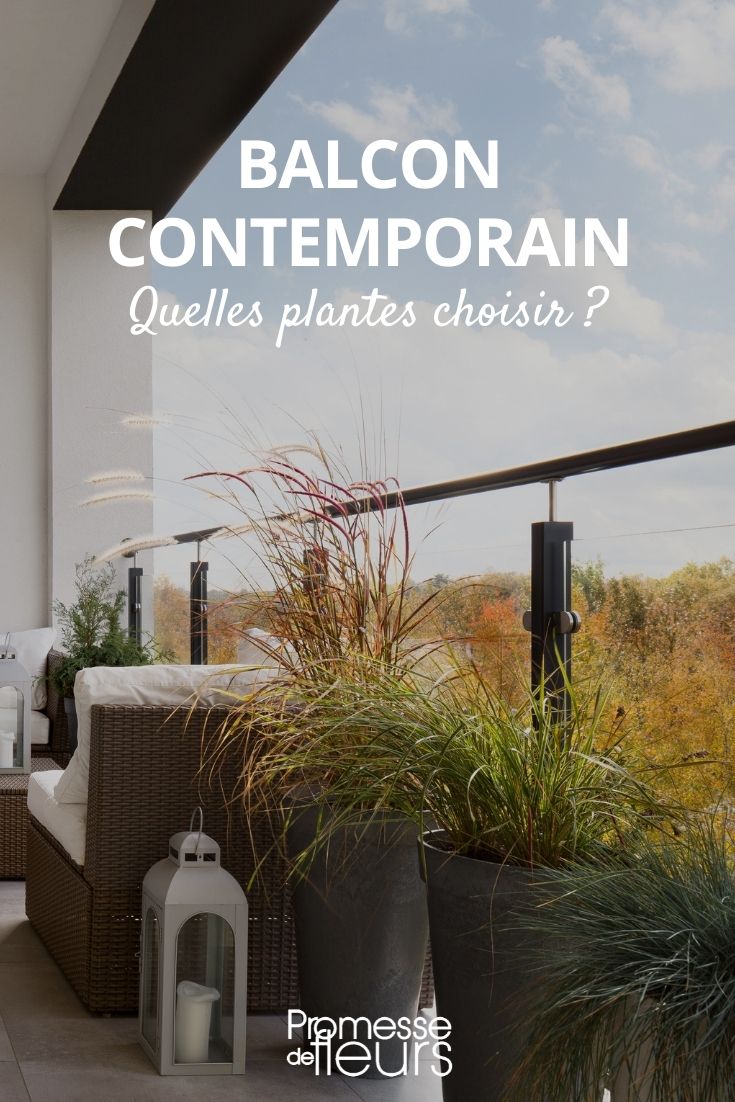 balcon contemporain quelles plantes choisir