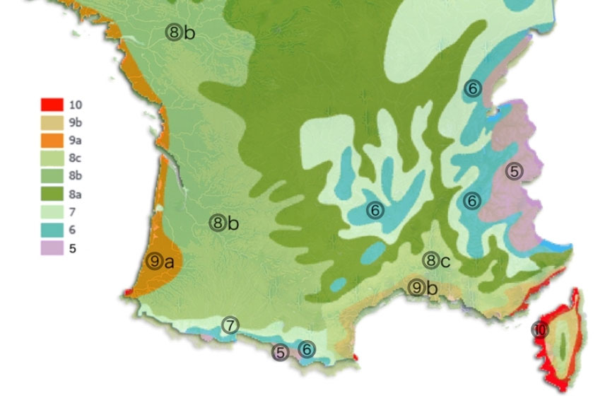 carte des zones de rusticité