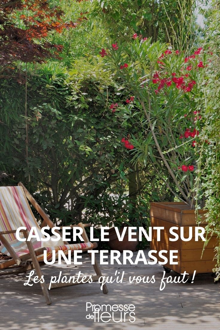 casser le vent sur une terrasse