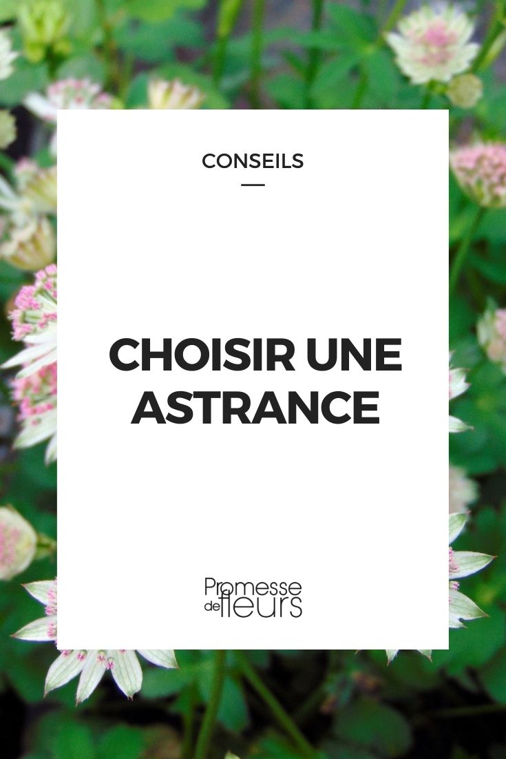 choisir astrance