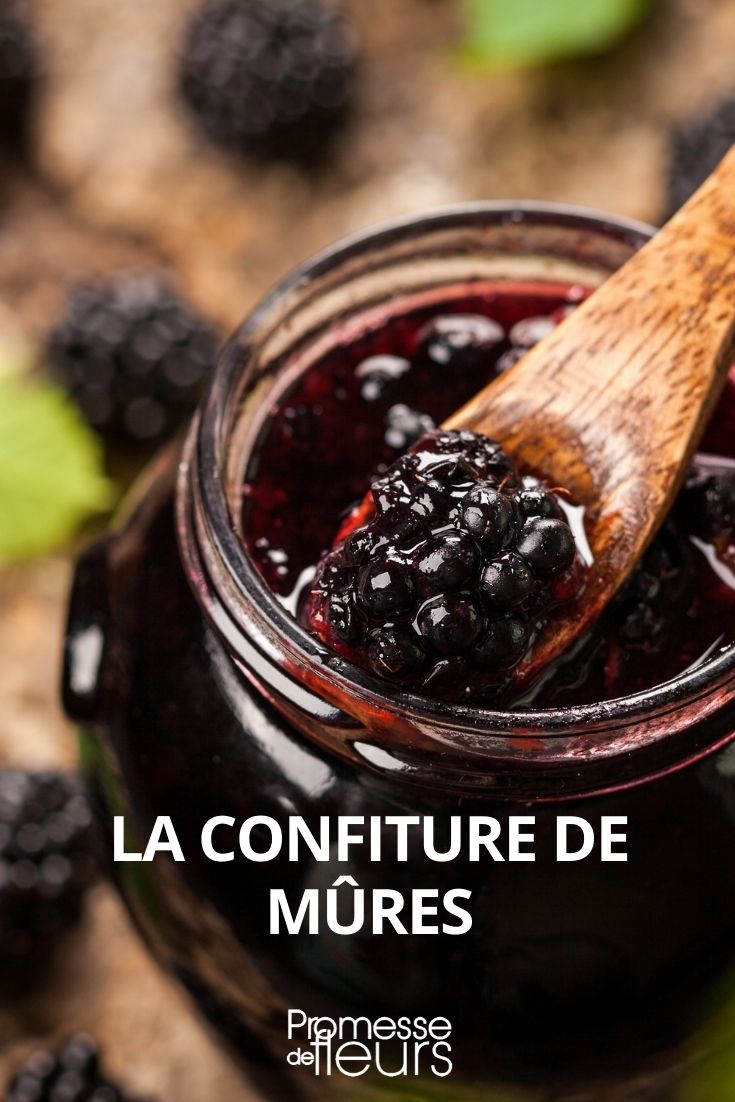 confiture de mûres