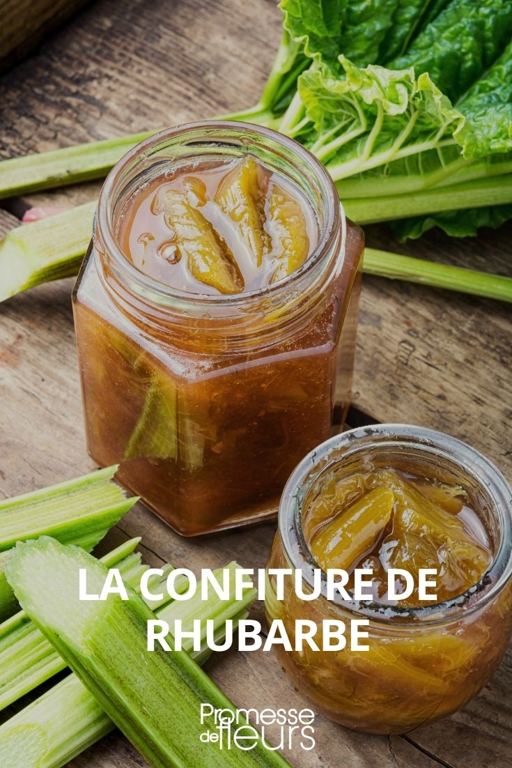 confiture de rhubarbe