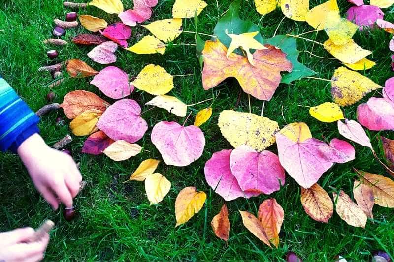 mandala land art automne