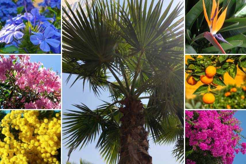 Jardins de la Côte d'Azur