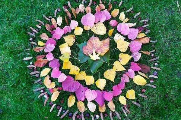 Land Art : Comment faire un mandala d’automne ?