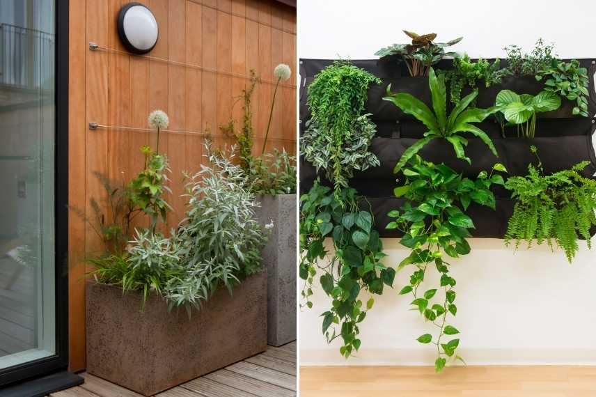 plantes pour balcon contemporain, plantes balcon design, quels vegetaux pour balcon contemporain, arbustes balcon contemporain, graminées balcon contemporain, vivaces balcon contemporain