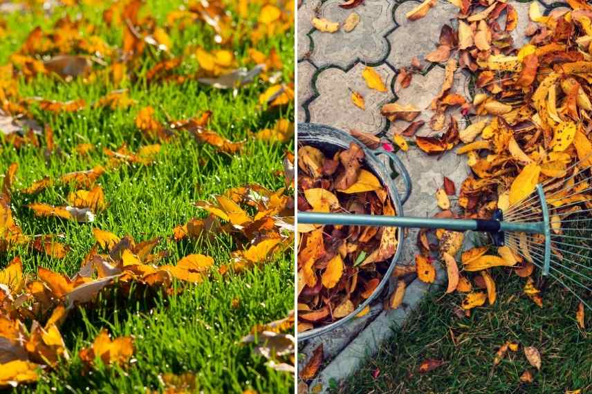 ramassage feuilles mortes, feuilles mortes au jardin, que faire des feuilles mortes, comment ramasser les feuilles mortes