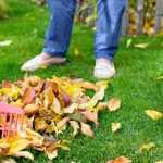 Comment ramasser les feuilles mortes ?