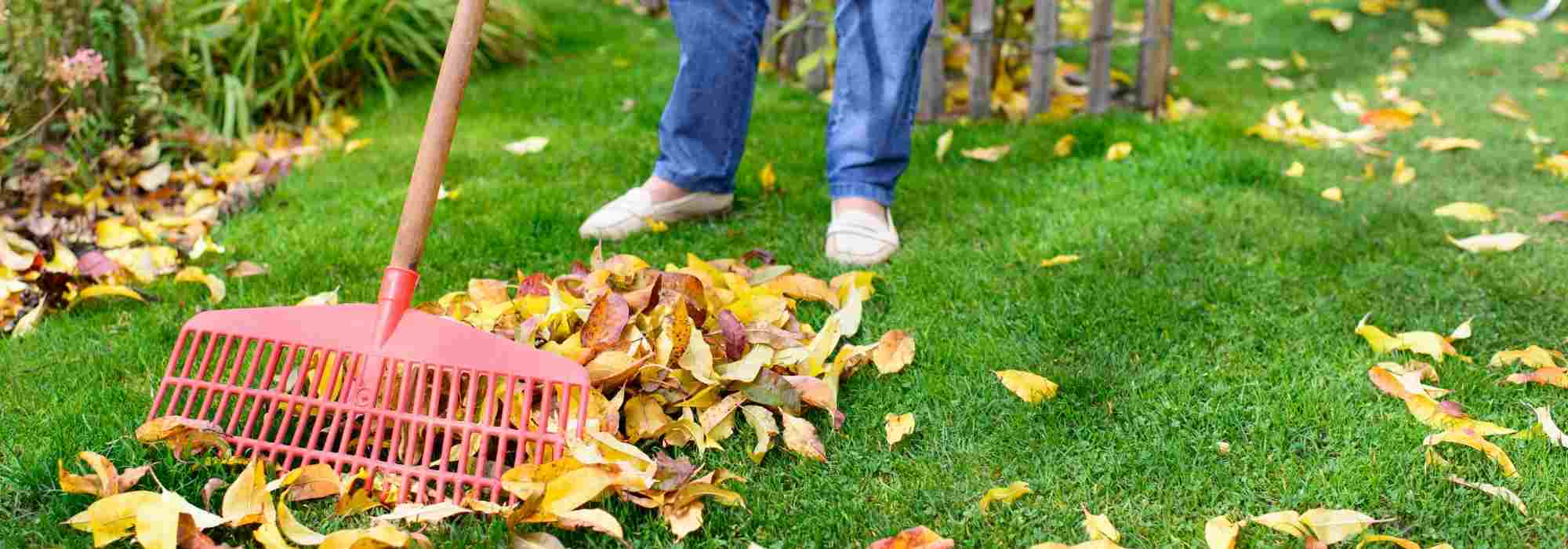 Balai Ramasse Feuilles, Gazon, épines à main avec grand sac