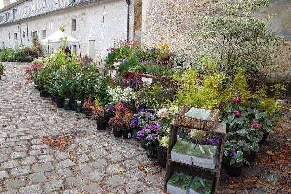 Fête des plantes de Saint-Jean de Beauregard : automne 2021