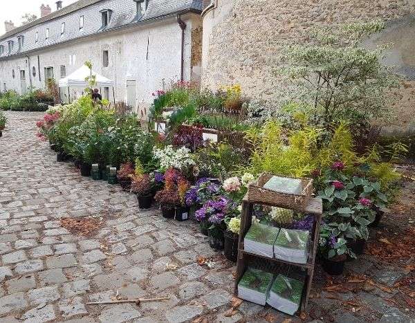 Fête des plantes de Saint-Jean de Beauregard : automne 2021