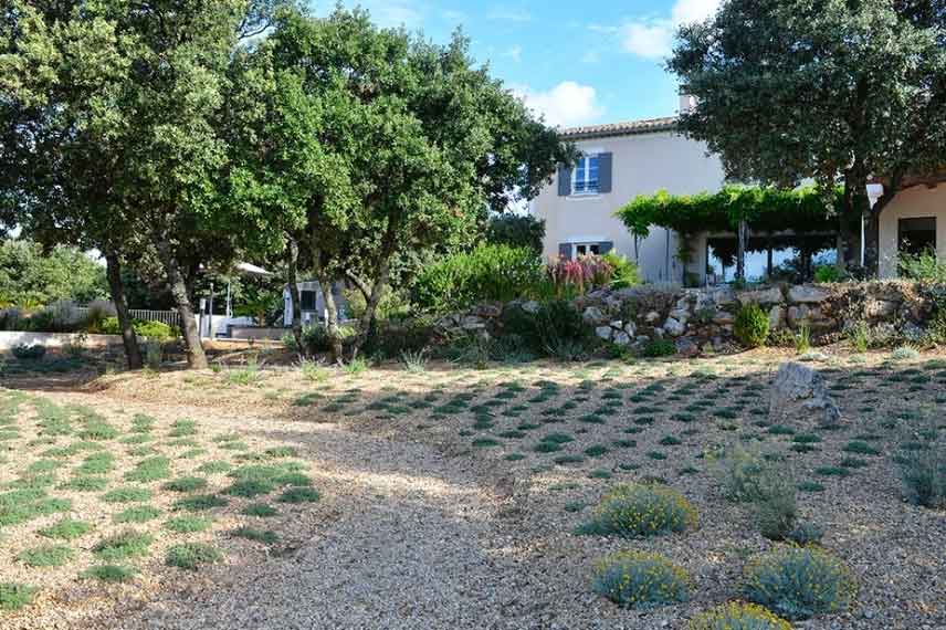 Jardin planté de végétaux en godet pour une meilleure reprise