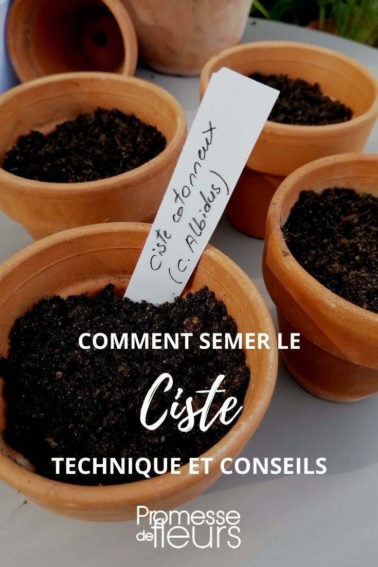 Astuce pour bien semer des graines très fines