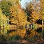 Le Parc des Capucins, un jardin romantique en automne