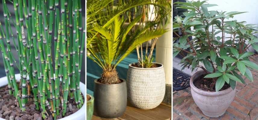 Arroser les plantes pendant les vacances : conseils - La Belle Adresse