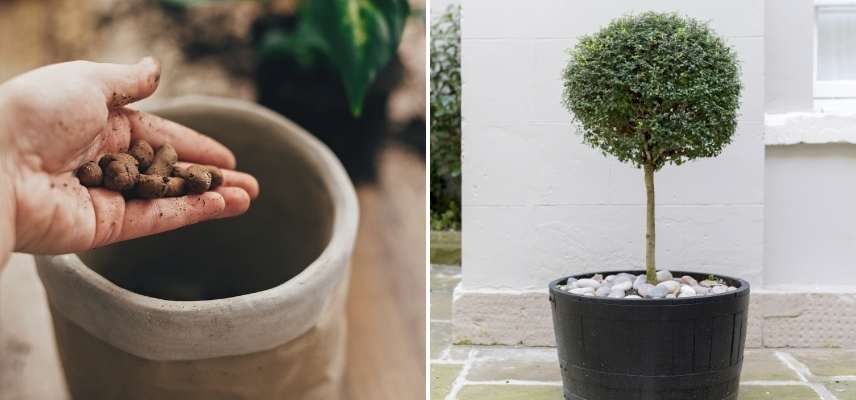 conseils arrosage plante en pot, comment arroser plante en pot