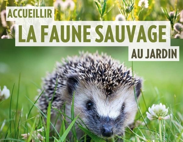 Accueillir la faune sauvage au jardin, un livre publié aux éditions Ulmer