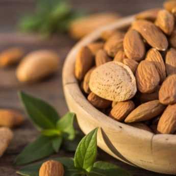 Comment récolter et conserver les amandes ?