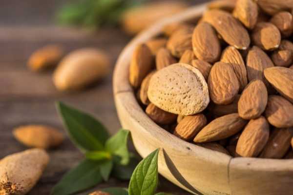 Comment récolter et conserver les amandes ?