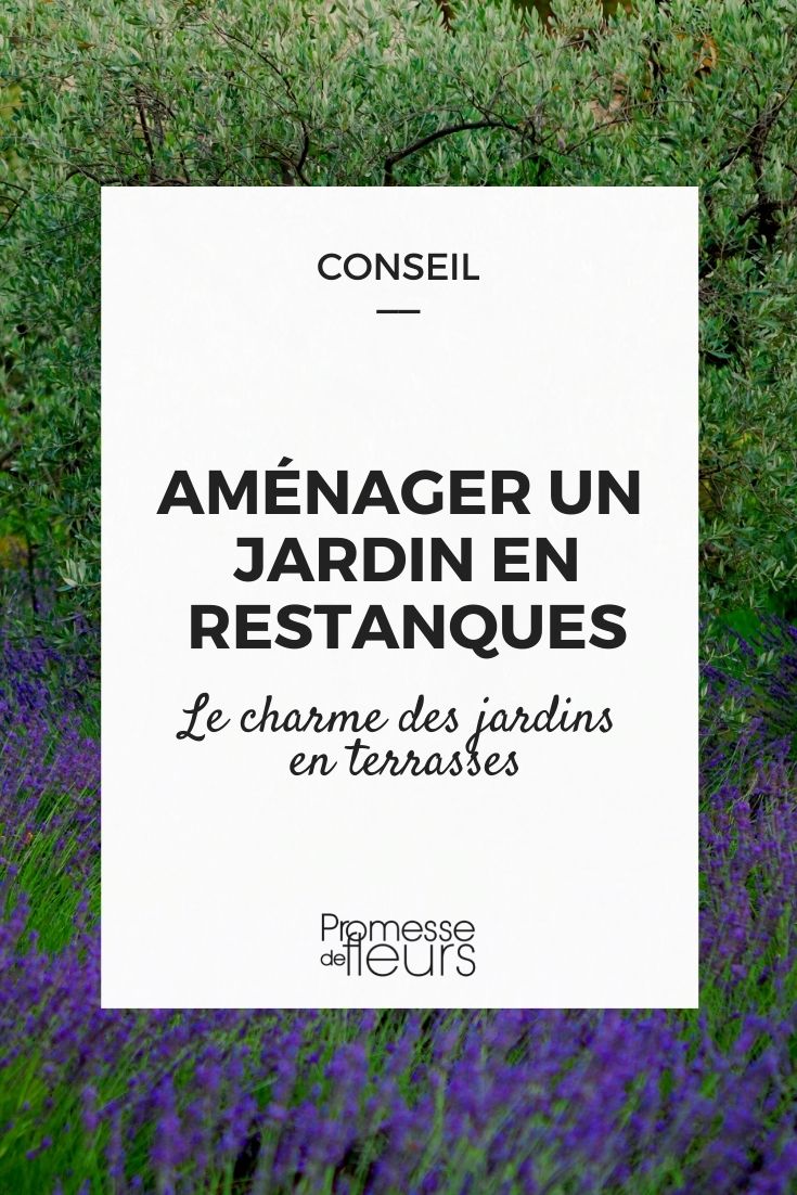 aménager un jardin en restanques