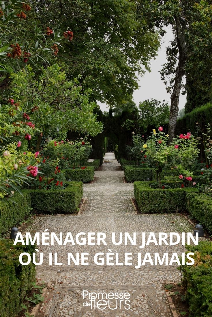 aménager un jardin où il ne gèle jamais