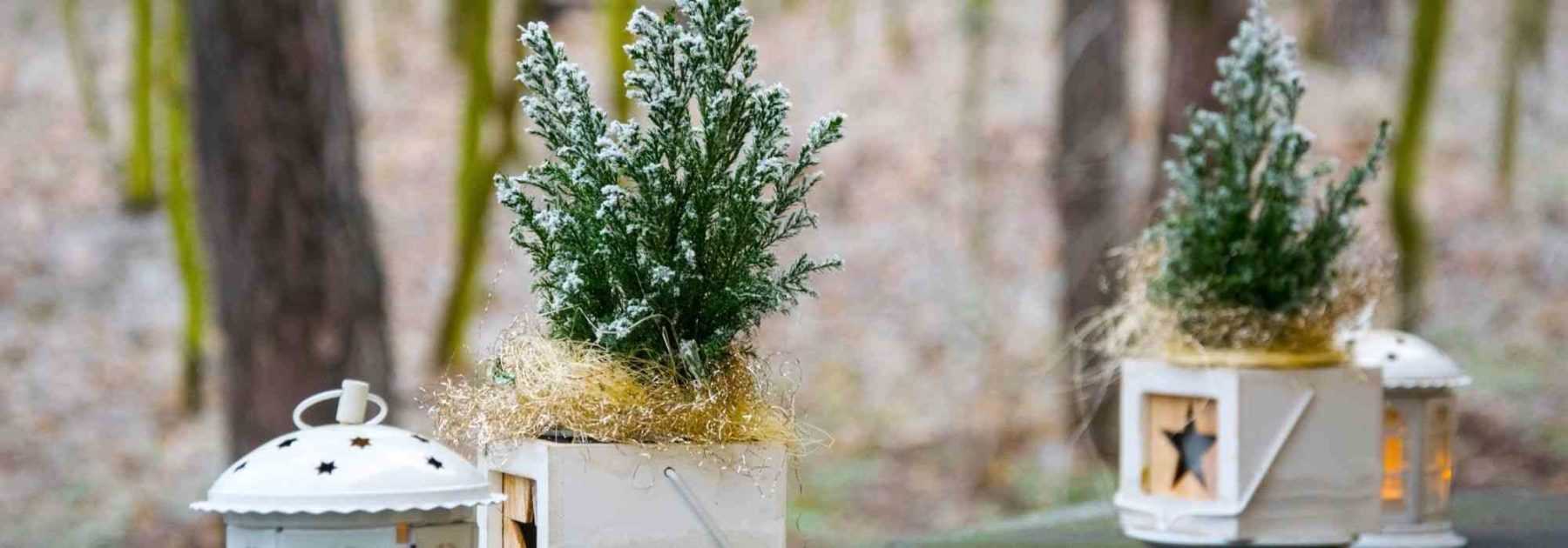 Une belle terrasse en hiver