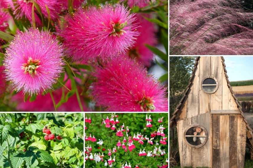 Rince-bouteille dans un jardin aux teintes rosées