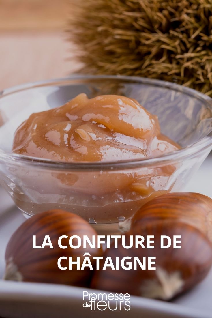 Recette de crème de marrons / Confiture de châtaignes