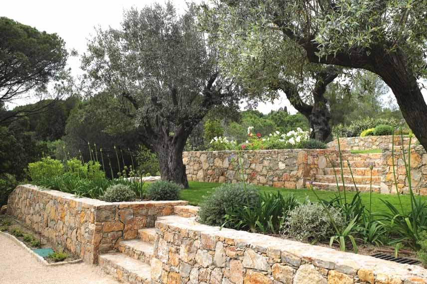 Jardin aménagé en terrasses