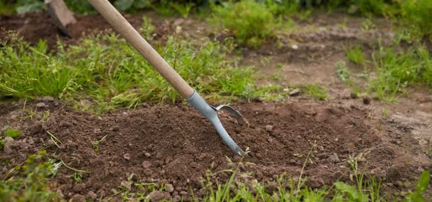 sarcloir a quoi sert, ratissoire a quoi sert, sarcloir outil jardin, ratissoire outil jardin