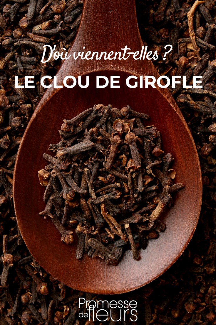 CLOUS DE GIROFLE