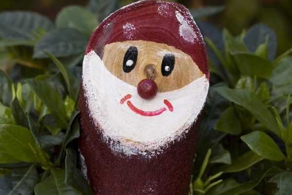 La hotte Promesse de Fleurs pour un Noël 2021 réussi