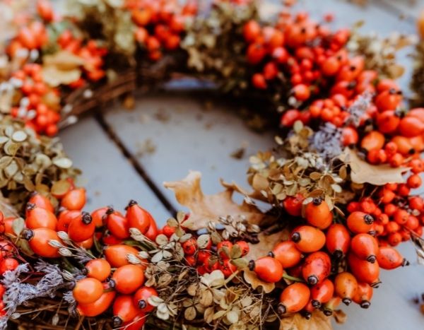 Fabriquer une couronne de Noël avec des cynorrhodons