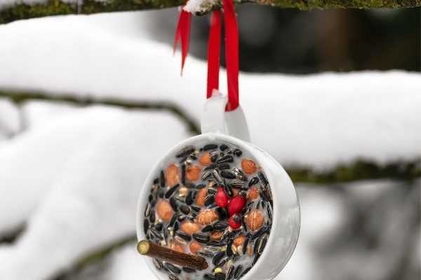 Faire une suspension de graines pour les oiseaux en hiver